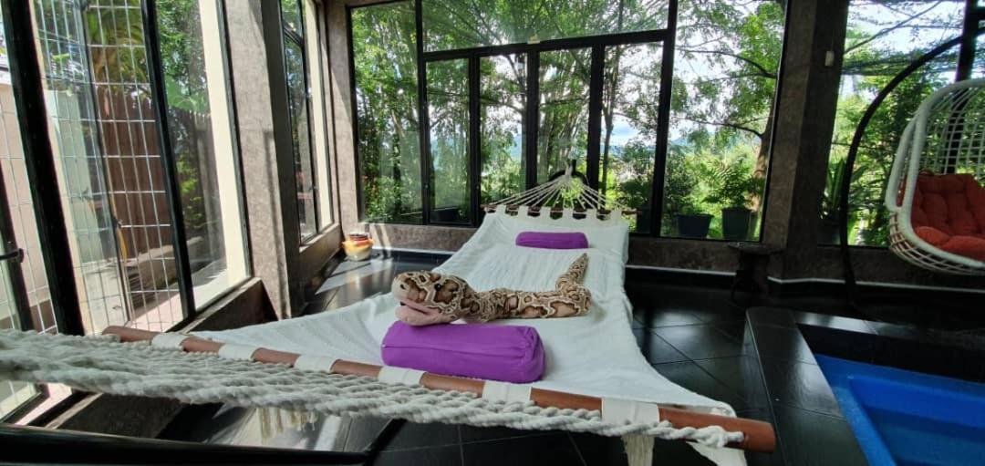 Zoo Villa With Private Pool @ Ampang Kl Экстерьер фото